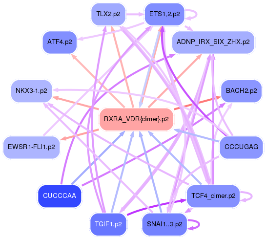 PNG image of the network